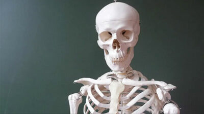 İklim krizi kemiklerimizi eritiyor! 50 yıl içinde etkileri çıkacak…