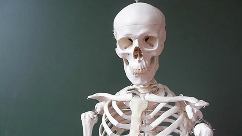 İklim krizi kemiklerimizi eritiyor! 50 yıl içinde etkileri çıkacak…