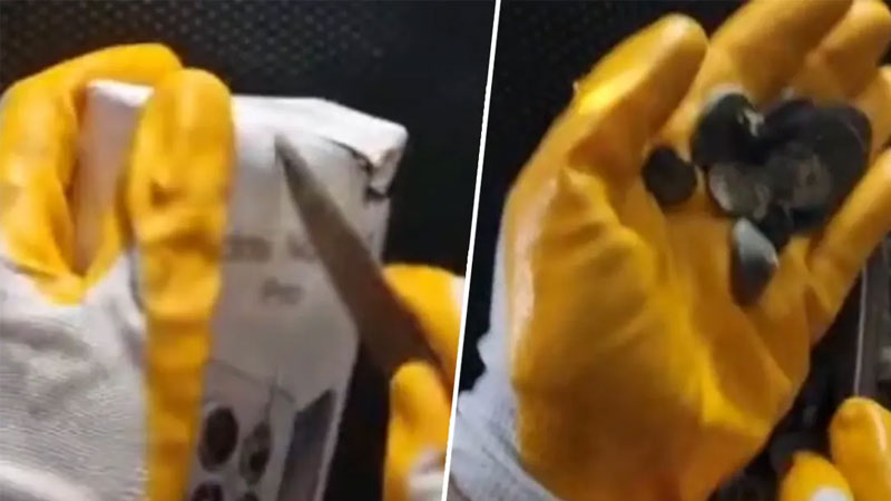 Türkiye’den kaçırılmak üzereyken yakalandı!