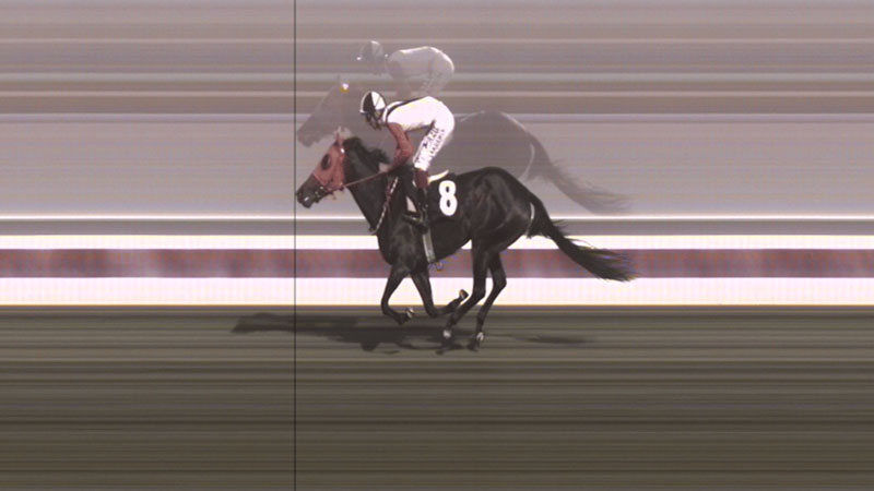 Skandal olay! 3 birinciliği olan şampiyon yarış atı kavurma oldu