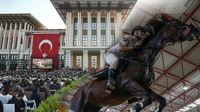 Bursa’da yetiştirilip Cumhurbaşkanlığı’na gönderiliyor! UNESCO listesine aday… Bursa UNESCO Derneği Başkanı İlker Özaslan, Gemlik’te özel bir ırk