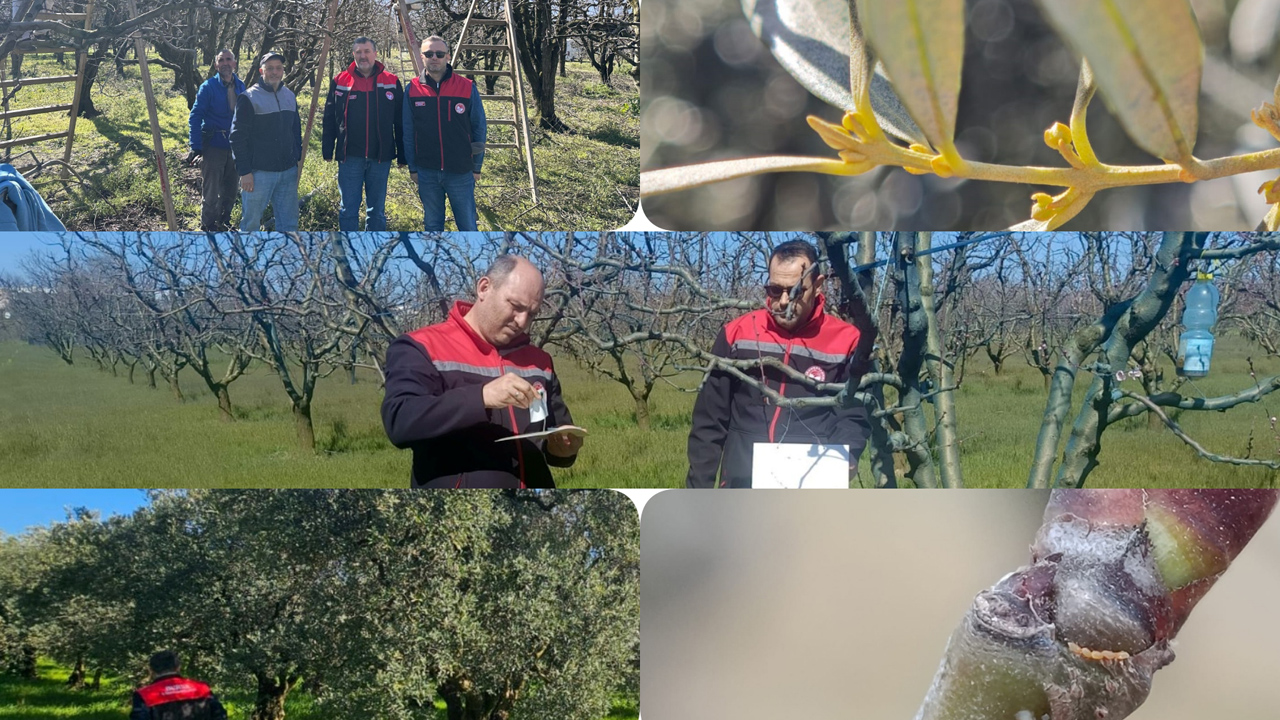 Bursa’da tarımsal üretim alanlarında düzenli kontroller sürüyor