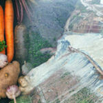 Bursa’da çevre alarmı! Zehir, soframıza gelebilir…