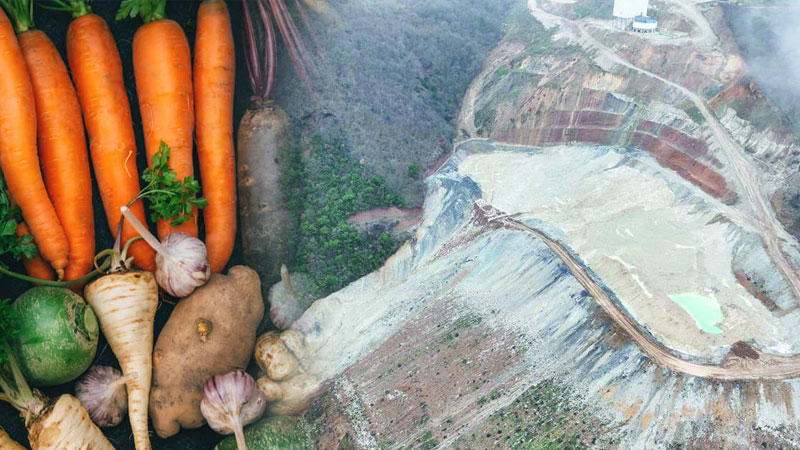 Bursa’da çevre alarmı! Zehir, soframıza gelebilir…