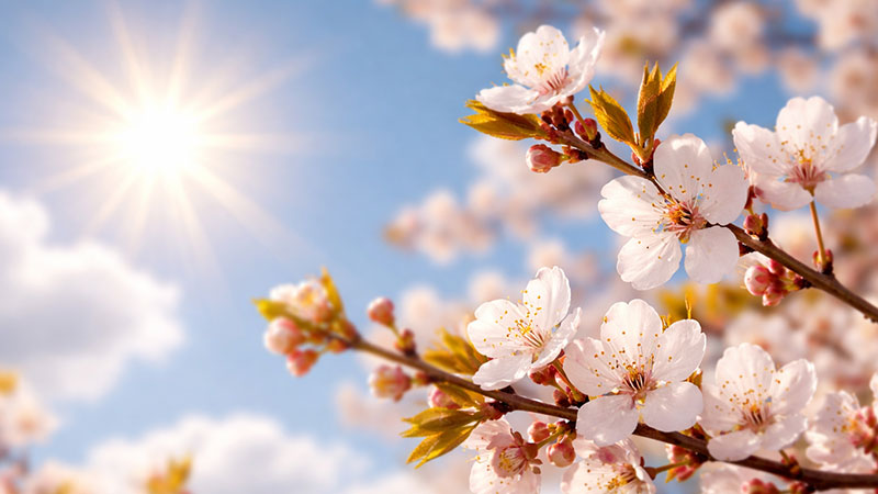 Bursa’da Mart kapıdan baktırıyor! İşte yeni haftanın hava durumu…