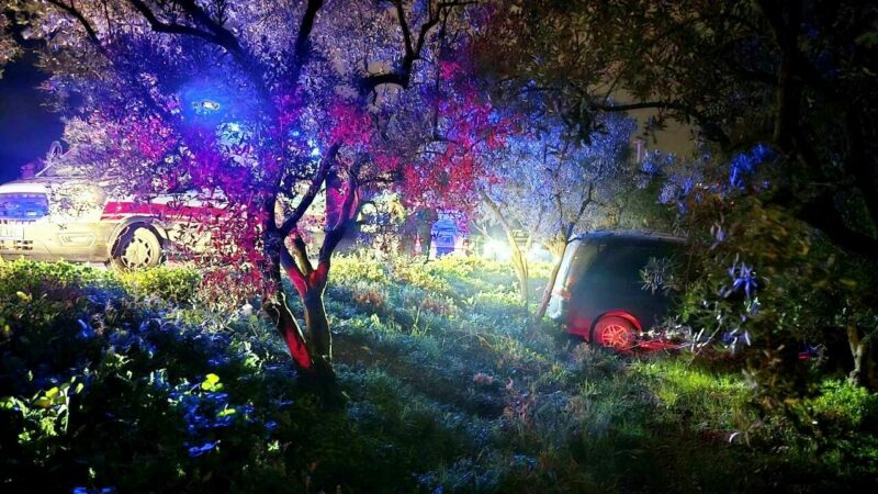 Mudanya’da kazadan kaçan sürücü zeytinliğe daldı Mudanya’da kazadan kaçan sürücü zeytinliğe daldı