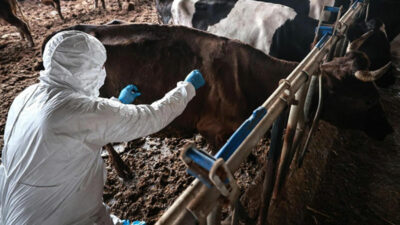 Bursa’da 8 mahalle karantinada