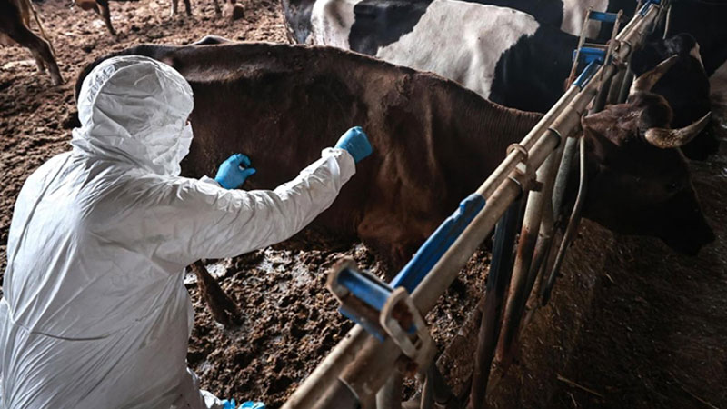 Bursa’da 8 mahalle karantinada