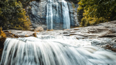 Bursa’nın asırlık doğa mirasından müjdeli haber!