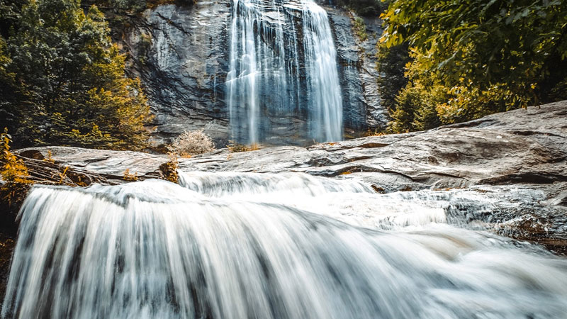 Bursa’nın asırlık doğa mirasından müjdeli haber!