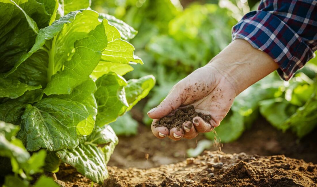 Türkiye'de, 1 Ekim ile 28 Şubat arasındaki tarım sezonunda yağışlar,