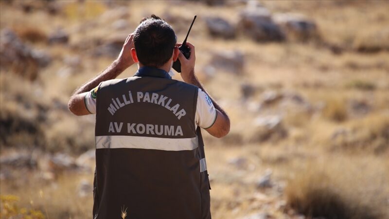 Doğa Koruma ve Milli Parklar Genel Müdürlüğü (DKMP), av sezonunun