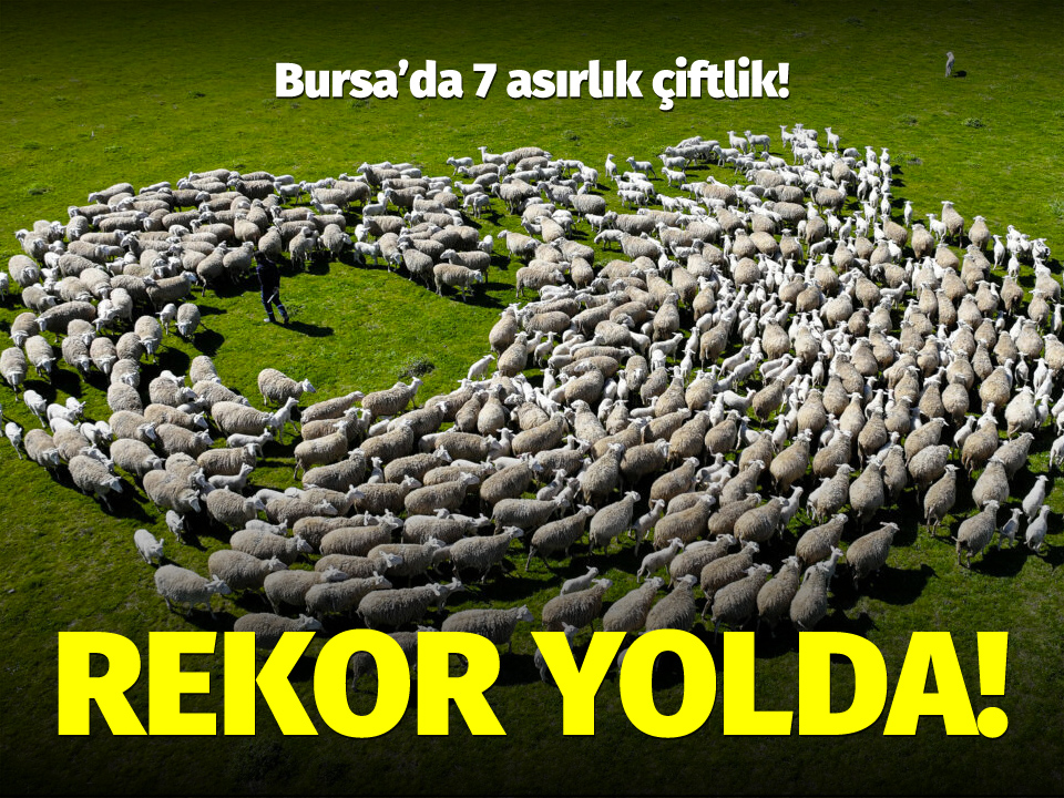 Bursa'nın Karacabey ilçesinde Tarım ve