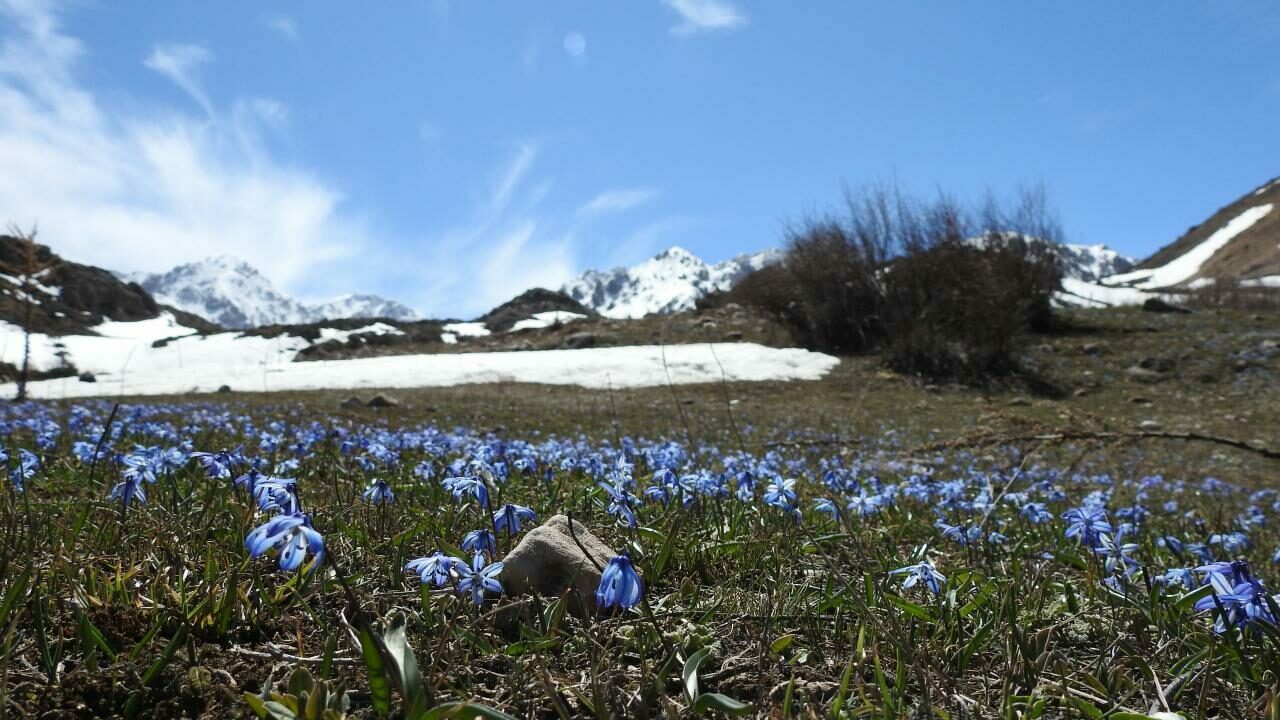 Türkiye’de son 56 yılın en sıcak 3. Şubat’ı yaşandı
