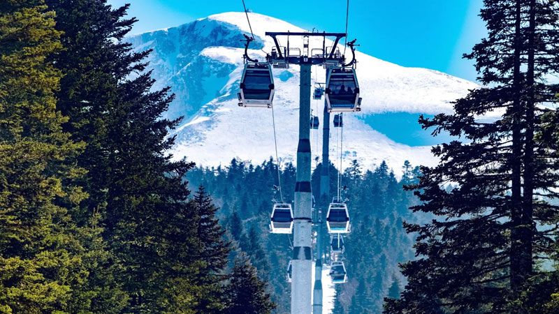 Uludağ’da büyük tehlike! Rakamlar endişe verici…