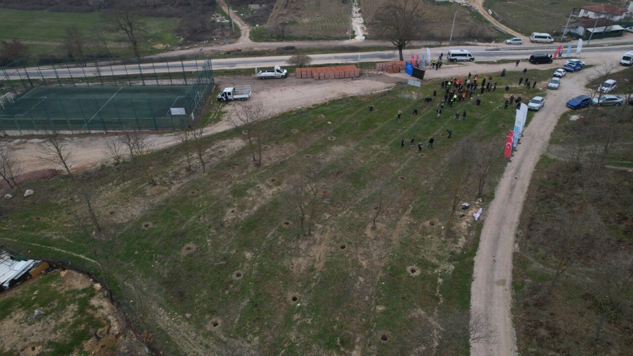 Bursa’daki atıl araziler ormana dönüşüyor