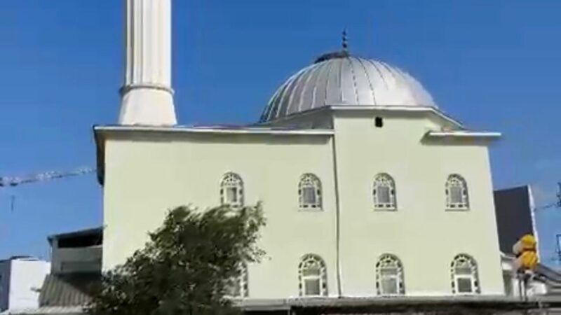 Bursa’da yürek ısıtan görüntü! Bir köy leylekler için seferber oldu… Bursa’da yürek ısıtan görüntü! Bir köy leylekler için seferber oldu…