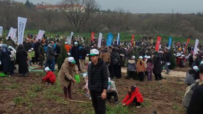 Bursa’nın ciğerlerine yeni nefes! Yüzlerce fidan toprakla buluştu