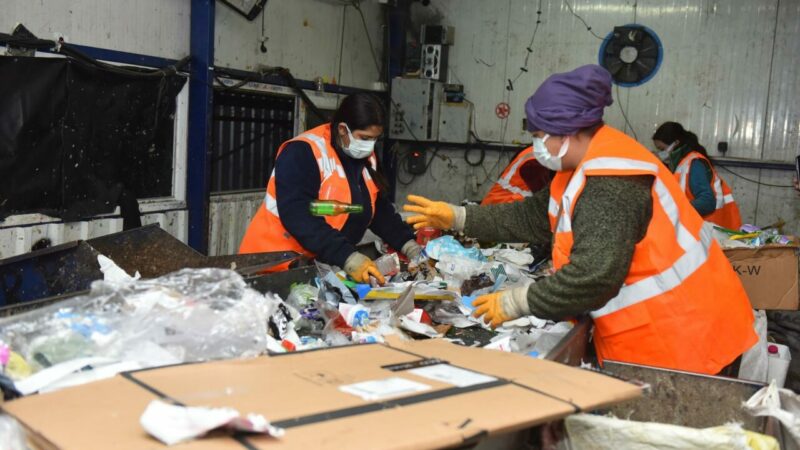 Bursa’da çevre için dev adım! Binlerce ağaç kesilmekten kurtuldu