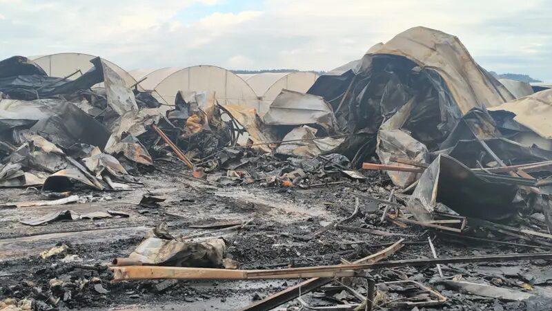 Bahçeli: Bayram sonrası yeni ve güçlü bir Türkiye’nin adımları atılacak