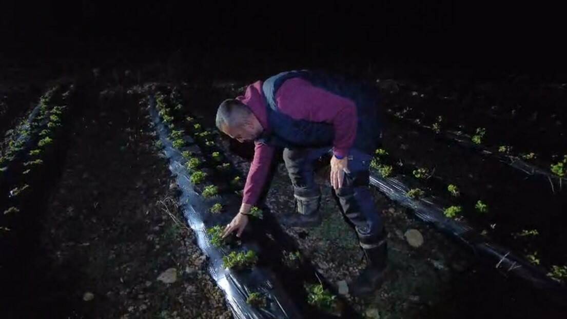1450 rakımda dumanlı nöbet! Yangın sanılıyor, gerçek çok farklı... 3 1450 rakimda dumanli nobet yangin saniliyor gercek cok farkli 475f45bbfc15
