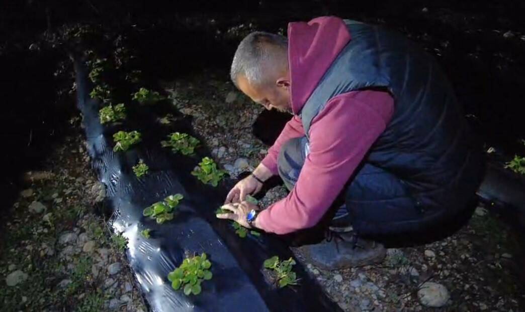 1450 rakımda dumanlı nöbet! Yangın sanılıyor, gerçek çok farklı... 2 1450 rakimda dumanli nobet yangin saniliyor gercek cok farkli 8e253af392de
