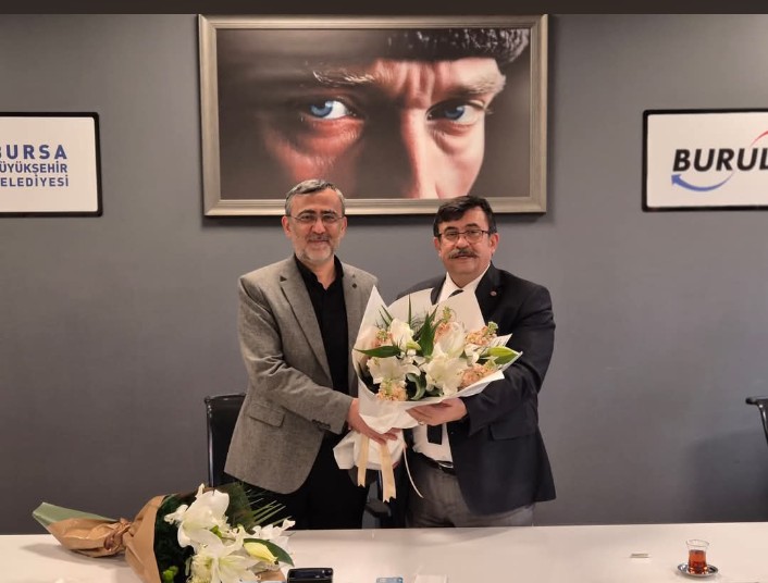 Kestane ağacı kaplı yamaçlar artık konut ormanı: Bursa kestanesi geri gelebilir mi?