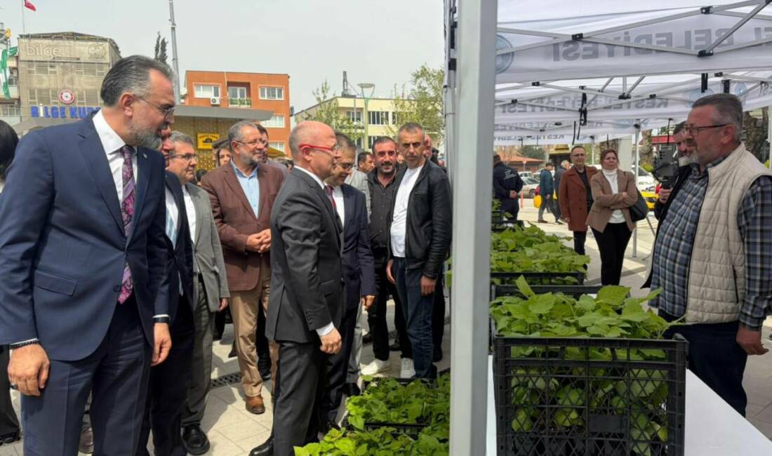 Kestel Belediyesi, tarımsal üretimi güçlendirmek amacıyla üreticilere 6 bin adet