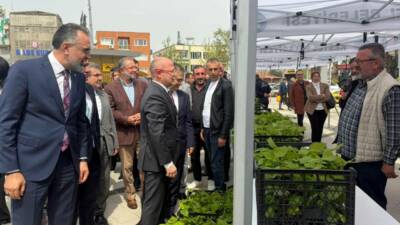 Kestel Belediyesi, tarımsal üretimi güçlendirmek amacıyla üreticilere 6 bin adet