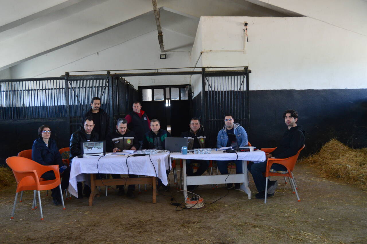 En elit safkan Arap tayları Bursa'da seçildi! 1 aa 20260424 41197910 41197907 tigemsafkanarapelitvekosutaylarininseciminitamamladi