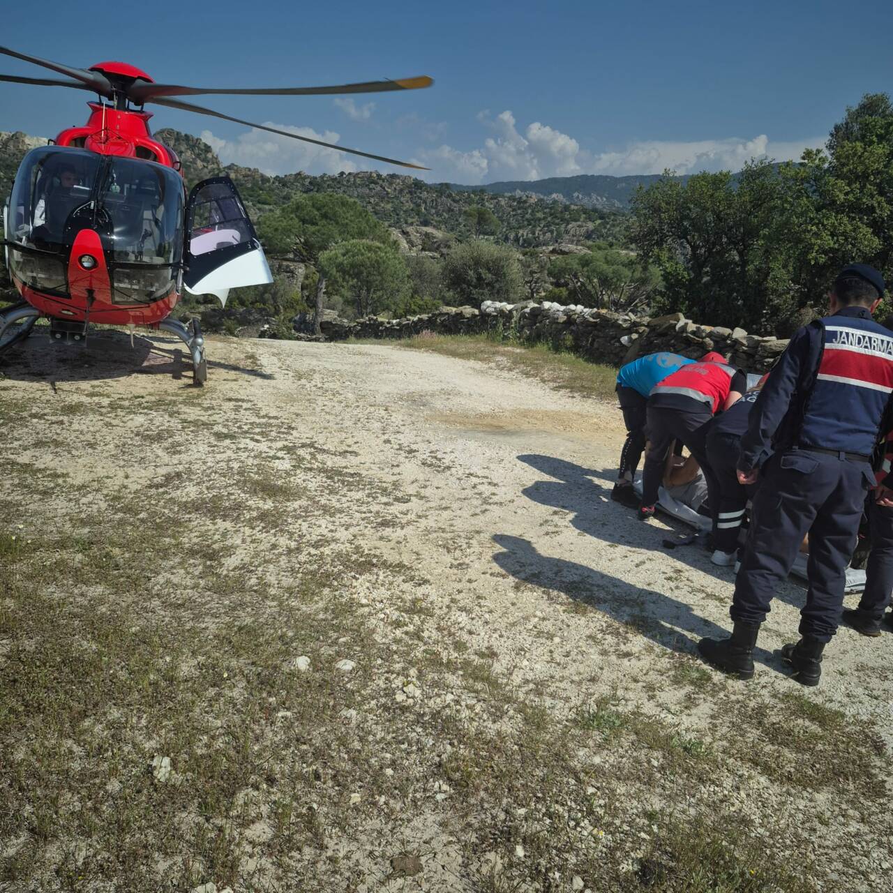 Bursa'dan Aydın'ın Söke ilçesine giden ve doğada yürüyüş yaparken rahatsızlanan