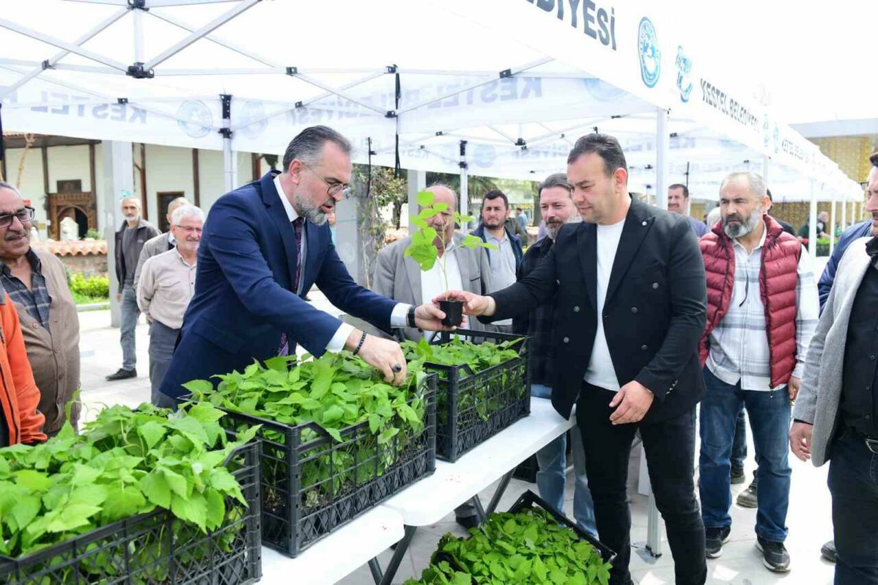 Bursa'nın tarımsal üretim vizyonuna imza proje! 1 bursada ahududu ureticilerine mujde 8d3b58428441