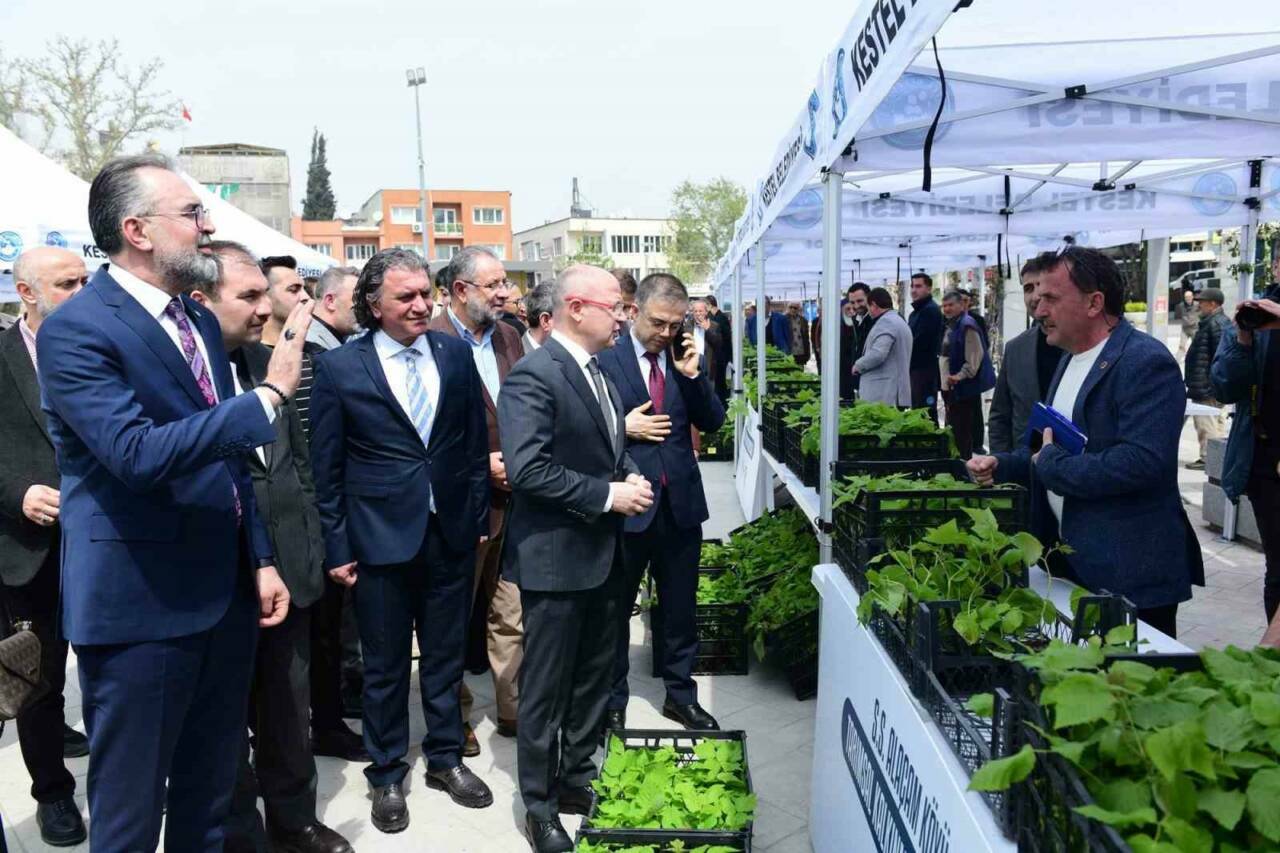 Bursa'nın tarımsal üretim vizyonuna imza proje! 2 bursada ahududu ureticilerine mujde e6e228e3bc8a