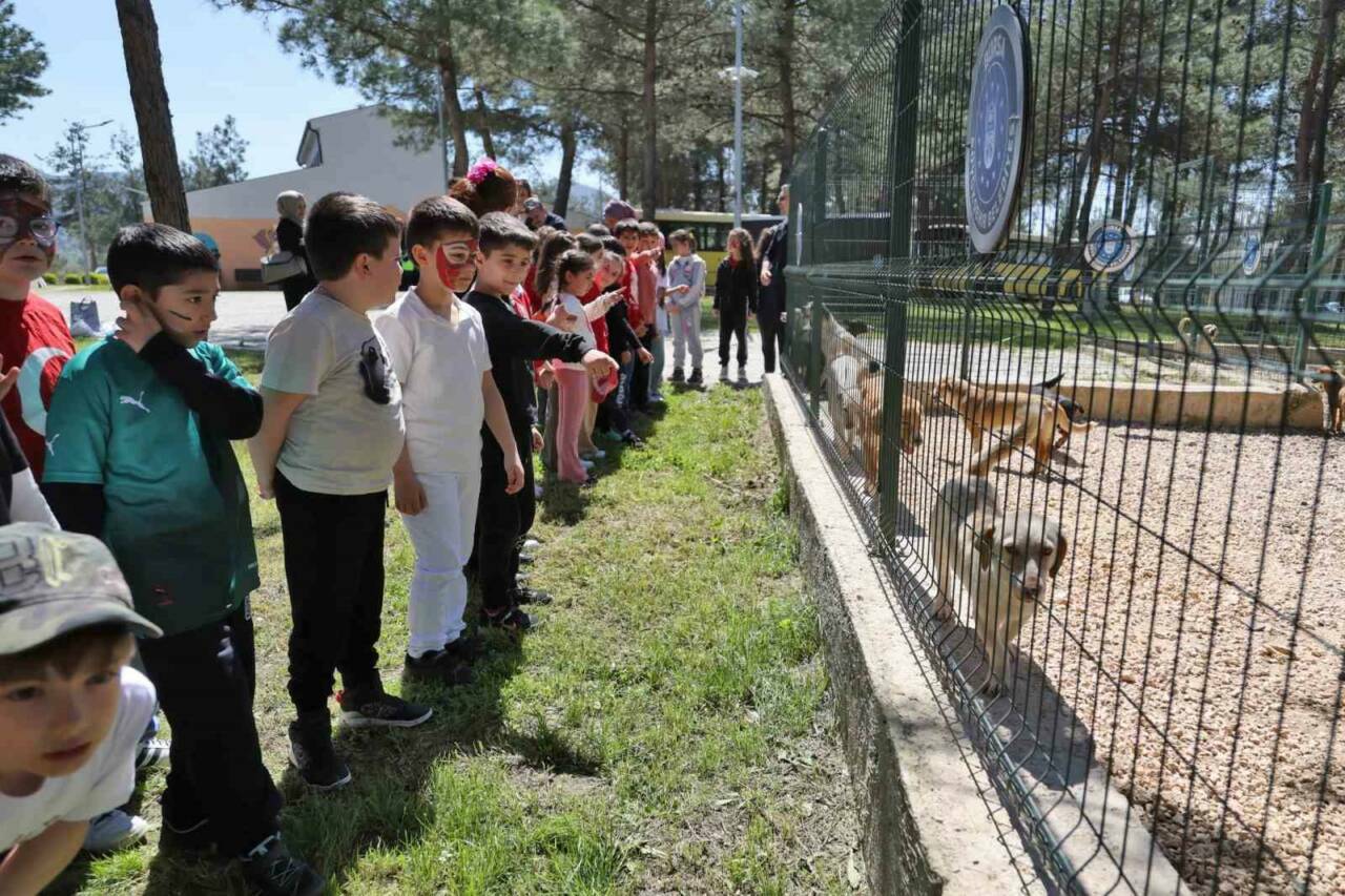 bursada cocuklar patili dostlarla bulustu 7c7ea64fc593