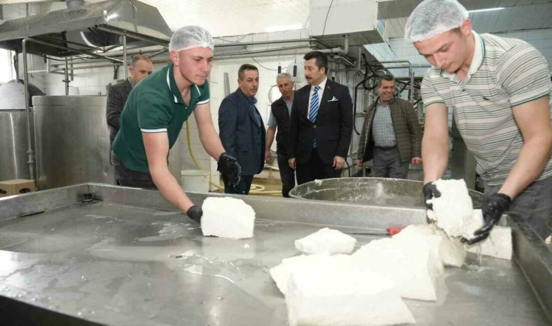 Bursa’da her gün tonlarca sütten çeşit çeşit peynir üretiyorlar Yenişehir Belediye Başkanı Ercan Özel, ilçenin köklü üretim değerlerinden Orhaniye