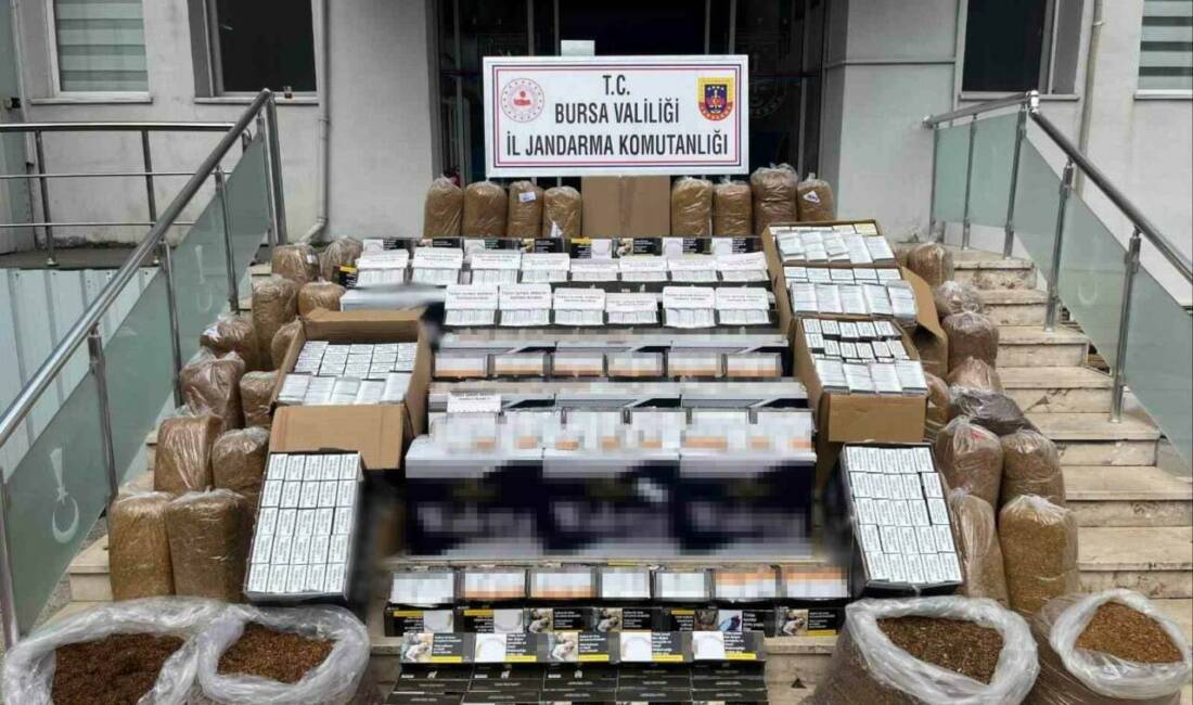 Bursa’da operasyon! 205 bin adedi ele geçirildi Bursa’nın Gemlik ilçesinde jandarma ekipleri düzenlenen operasyonda 205 bin adet