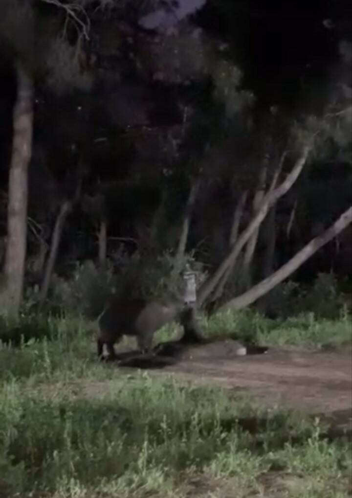 bursada piknik yapanlar neye ugradigini sasirdi 894132ad59e5