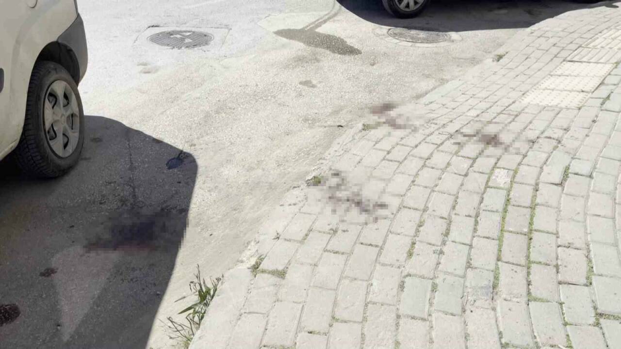 bursada tiktok canli yayini kanli bitti genc kadin yuzunden bicaklandi 0d9e93d08dbb