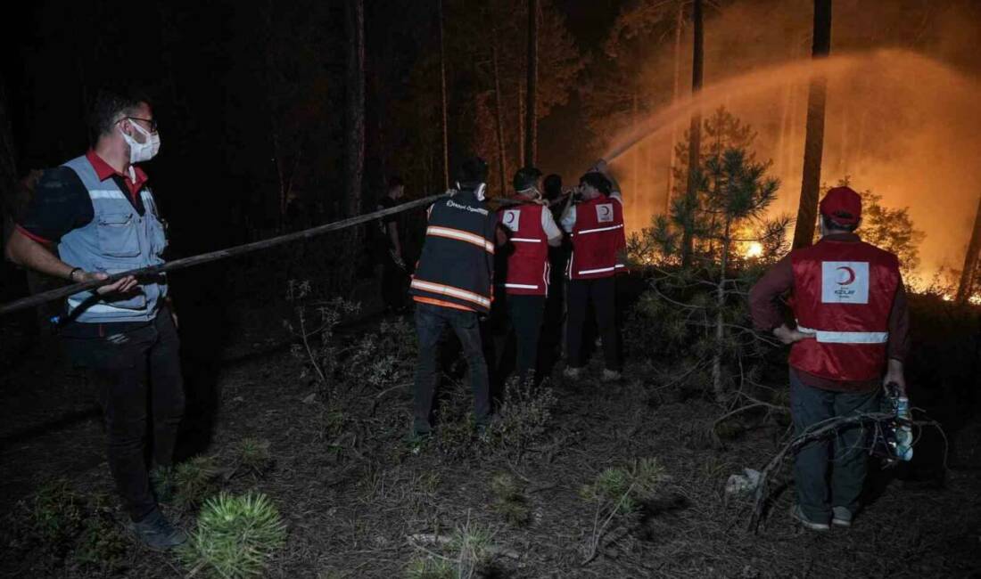 Bursa’da yakın tarihin en büyük orman yangınlarından birisi olan ve