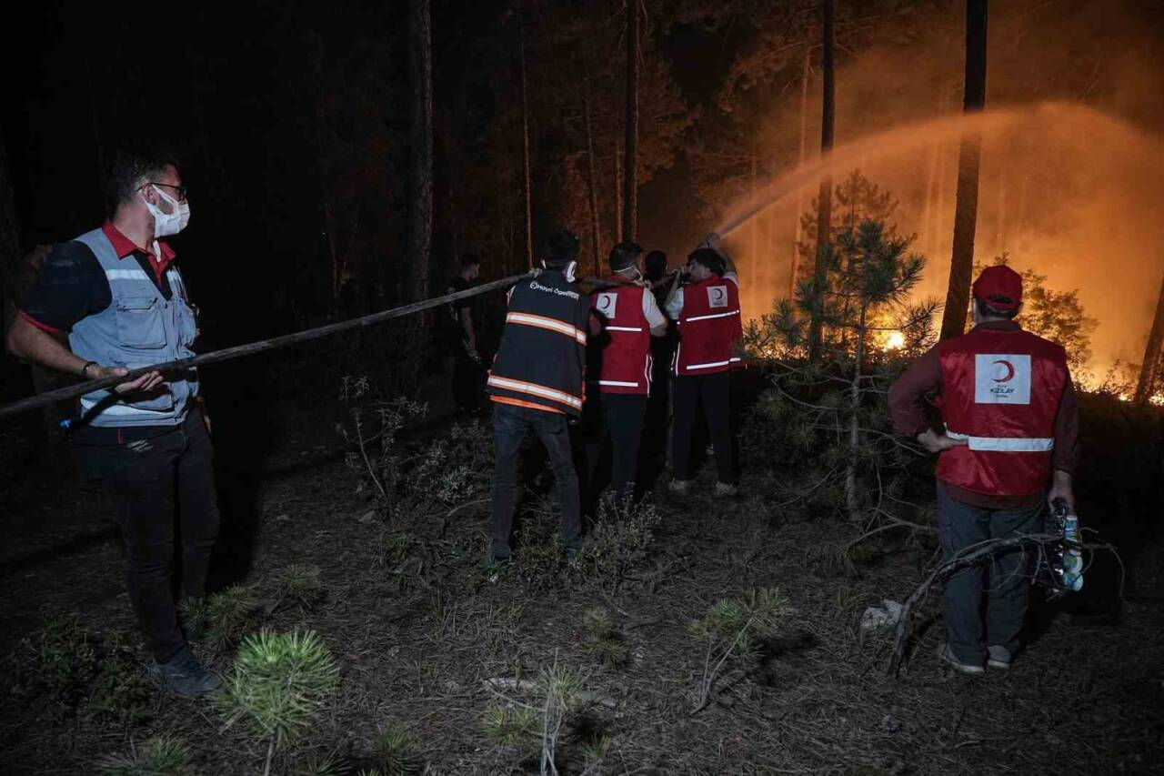 Bursa’da yanan binlerce hektar alan 9 ay sonra bakın nasıl görüntülendi 15 bursada yanan binlerce hektar alan 9 ay sonra bakin nasil goruntulendi 9ceb242759d5