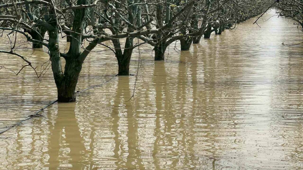 Bursa’da yüzlerce dönüm meyve bahçesi su altında 5 bursada yuzlerce donum seftali ve armut bahcesi su altinda 6f65d544931e