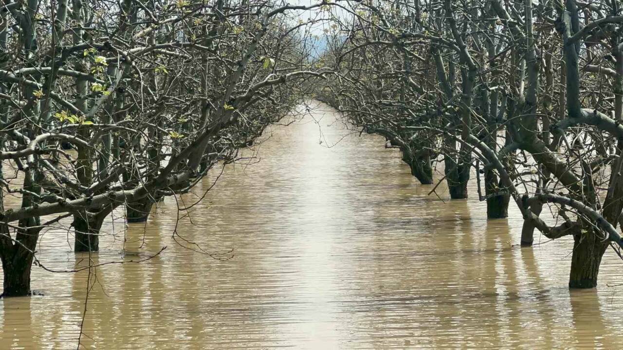 Bursa’da yüzlerce dönüm meyve bahçesi su altında 1 bursada yuzlerce donum seftali ve armut bahcesi su altinda 70ddfc2f28eb