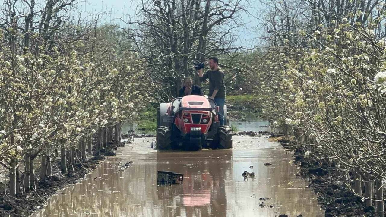 bursada yuzlerce donum seftali ve armut bahcesi su altinda 90d61cdedfbe