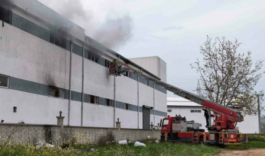 Bursa’daki mobilya fabrikasında yangın Bursa’nın İnegöl ilçesinde bir mobilya fabrikasında yangın çıktı. Alevler, itfaiye