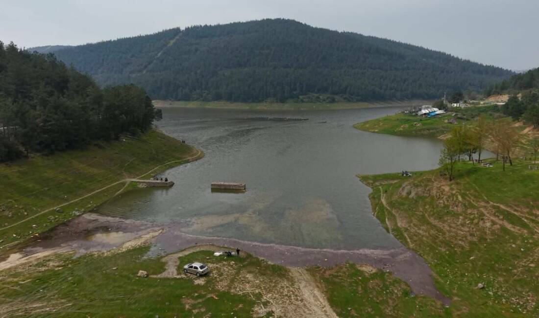 Bursa'da kuraklık nedeniyle koyun ve keçilerin otladığı, derin çatlakların kapladığı