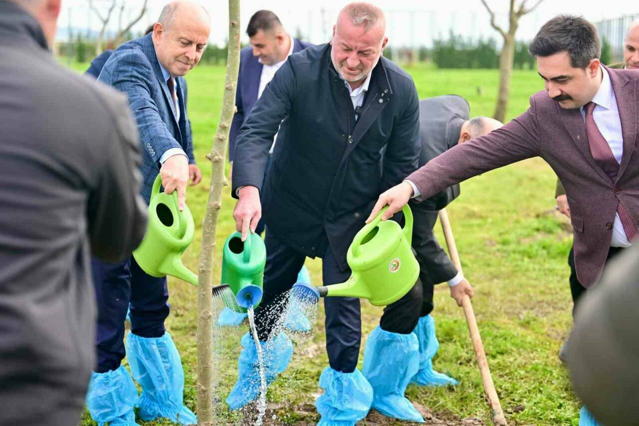 bursanin fethinin 700uncu yilinda fidanlar toprakla bulustu 168cbdd6e6ca