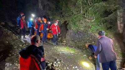 Kastamonu'nun Küre ilçesinde dağlık alanda gezdiği sırada uçurumdan yuvarlanarak kayalıklarda