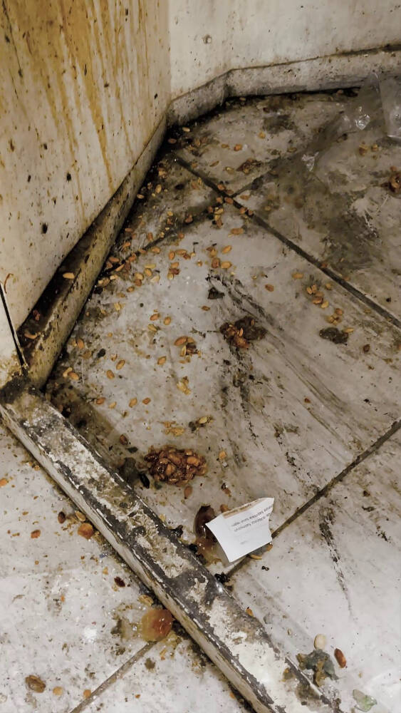 Kötü koku gerçeği ortaya çıkardı 1 kotu koku gercegi ortaya cikardi 0bdec4c79d52