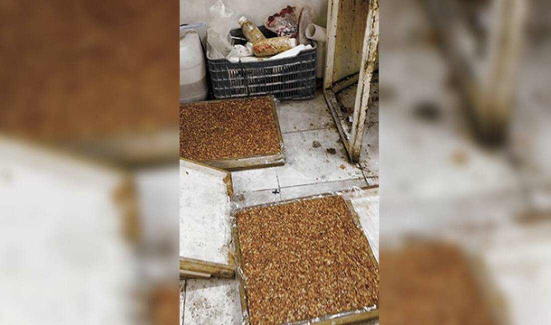 Kötü koku gerçeği ortaya çıkardı Hatay'da zabıta ekiplerinin kötü kokuyu fark ederek girdikleri evin lokum