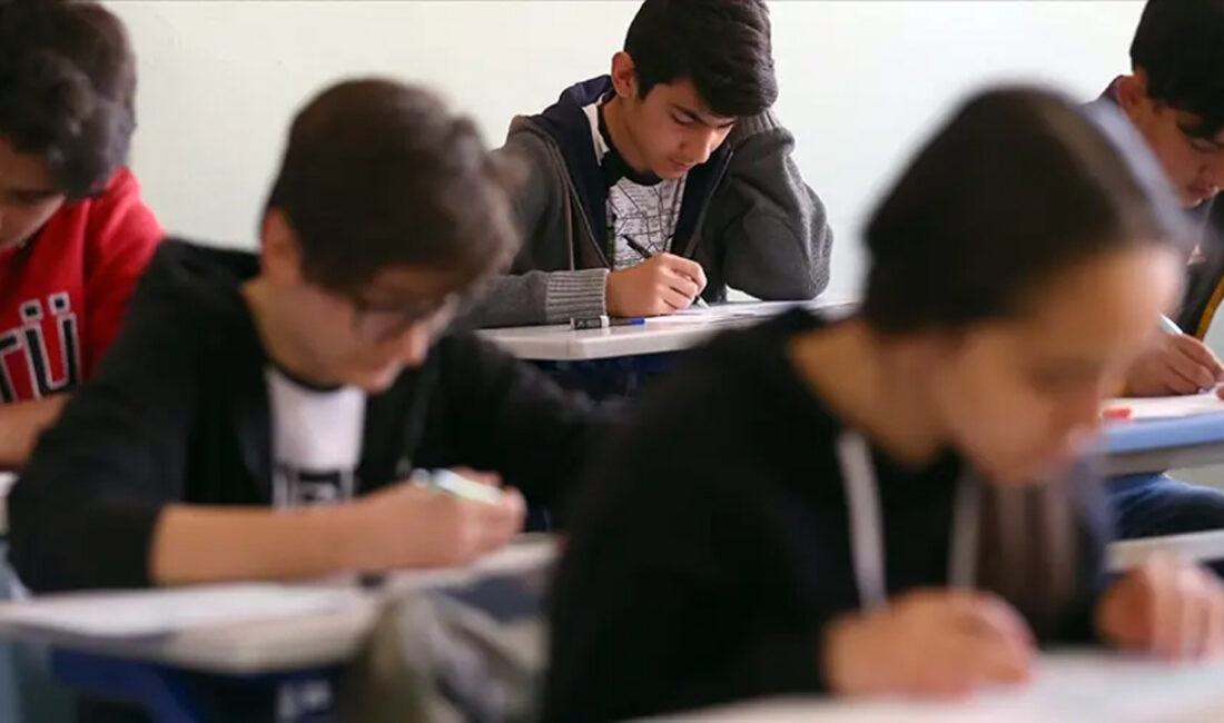 Milli Eğitim Bakanlığınca (MEB) Türkiye Yüzyılı Maarif Modeli kapsamındaki becerilerin